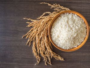 Accompagnements (riz, nouilles)